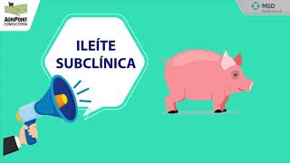 Pílulas de Mercado  Ileíte Subclínica [upl. by Arhas]