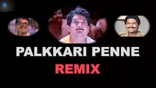 Palkkari Penne Remix  Jagathy Sreekumar  New Malayalam Song Remix [upl. by Normac446]