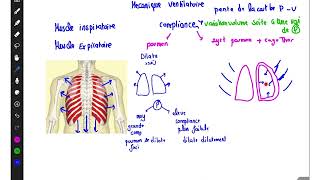 Compliance du système respiratoire PHYSIOLOGIE [upl. by Alderson]