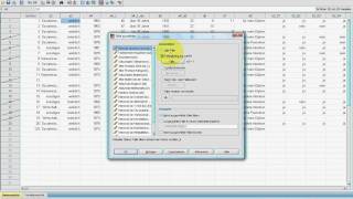 SPSS VideoSeminar  Teil 15 Datenexploration  Sortieren Splitten [upl. by Ardnosac]