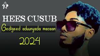 Walid Hassan  GIDIGEED ADUUNYADA MACAN  audio official  2024 [upl. by Attaymik]