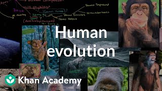 Human evolution overview  Life on earth and in the universe  Cosmology amp Astronomy  Khan Academy [upl. by Apul]