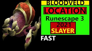 Runescape 3 Bloodveld Location amp Guide Slayer task rs3 Updated 2021 [upl. by Jobey]