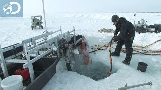 Une nouvelle machine  Pêcheurs dor sous la glace [upl. by Joanne]