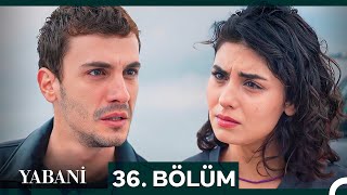 Yabani 36 Bölüm SEZON FİNALİ [upl. by Ednutey]