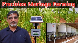 Precision Moringa Farming  Moringa Farming  Farmagain  Grotron  Precision Farming [upl. by Sherer]