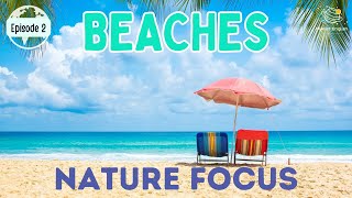 Beaches  Nature Focus for Kindergarten  EYFS  Episode 2 [upl. by Olmstead]