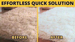 How To Clean A Wool Rug Easily Effortless Solution [upl. by Coleen]