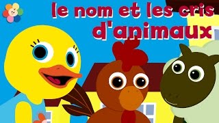 Apprendre le nom et les cris danimaux  compilation  Les premiers mots des toutpetits  BabyFirst [upl. by Olegnaed]