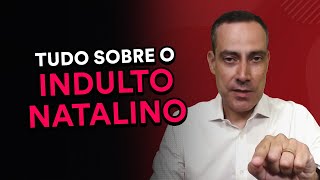 Entenda de uma vez por todas o que é o indulto natalino hipóteses e vedações [upl. by Swithbart182]