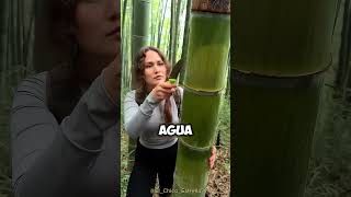 Este video te hará SOBREVIVIR en la JUNGLA 🤯👏 [upl. by Arze]