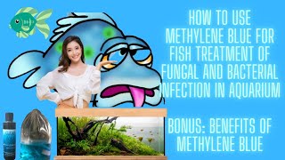 Bonus Tips on How To Use Methylene Blue For Fish Treatment of FungalBacterial Infection In Aquarium [upl. by Akierdna]