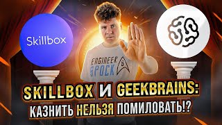 SkillBox и GeekBrains Казнить нельзя Помиловать Разоблачение [upl. by Mccowyn]