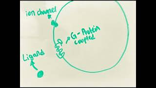 AP Bio Cell Singalling [upl. by Yedarb]