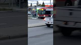 XD40 8223 On Route 40 To Crowfoot Station transit bus shorts update [upl. by Renita]