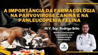 A Importância da Farmacologia Veterinária na Parvovirose Canina e na Panleucopenia Felina [upl. by Hoffarth]