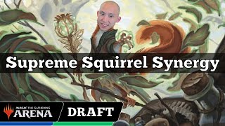 Supreme Squirrel Synergy  Bloomburrow Draft  MTG Arena [upl. by Emse150]