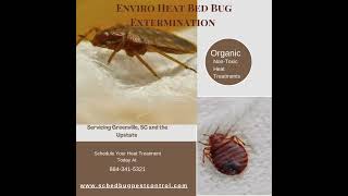 Enviro Heat Bed Bug Extermination Greenville SC bedbugscontrol bedbuginfestation bedbugservice [upl. by Ainafets]