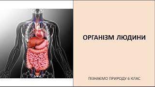 Організм людини  біологічна система [upl. by Godwin]