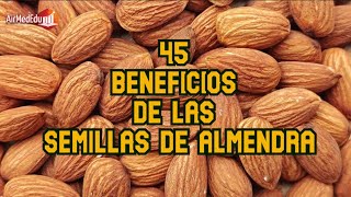 45 Beneficios de las Semillas de Almendra [upl. by Hanover]