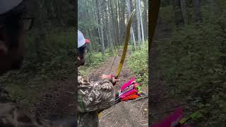 Trad archery stump shooting [upl. by Meldoh971]