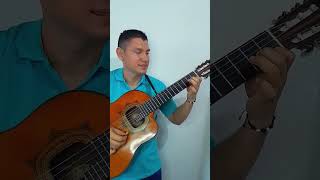 Clavelitos  Romulo Caicedo requinto youtubeshorts musicadelrecuerdo [upl. by Trinatte]