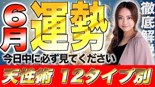 【星ひとみ】2024年6月の運勢を徹底解説！天星術占い12タイプ別！今日中に見ないと損します。 [upl. by Yreffej]