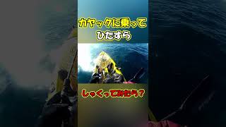 カヤックに乗ってひたすらシャクってみたら！！！ ＃釣り＃カヤックフィッシング＃カヤック＃fishing＃낚시＃KayakFishing＃Kayaking＃short [upl. by Drofhsa917]