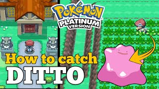 How to catch DITTO in Pokemon Platinum [upl. by Rekoob]