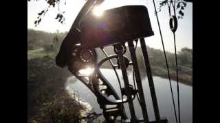 Warthog Boar Bow Hunt  Thabazimbi  South Africa [upl. by Gerlac]