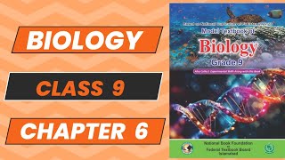 Biology 9 New Book Chapter 6 Molecular Biology Topic 2 Complete Explanation NBF 2024 Federal Board [upl. by Ailem]