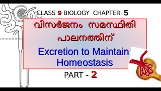 Class 9 Biology Chapter 5 Part 2 of 3 [upl. by Brier518]