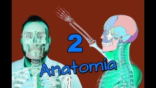 ANATOMÍA BÁSICA Capítulo 2  SISTEMA ESQUELÉTICO [upl. by Nudnarb]