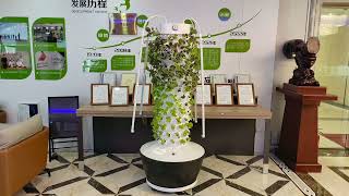 Vertical Hydroponic System Tower by Lyine Group hydroponics gardening hydroponicgreenhouse [upl. by Ia]