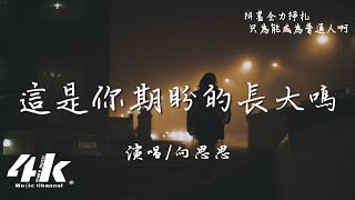 向思思  這是你期盼的長大嗎『你很累對嗎，這是你期盼的長大嗎。』【高音質動態歌詞Lyrics】♫ [upl. by Akirahs]