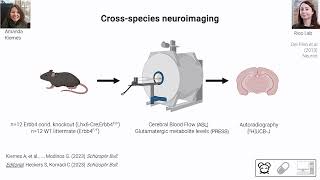 OHBM 2024  Symposium  Gemma Modinos  Multiscale approaches to brain vulnerability for psychos… [upl. by Drawyah]