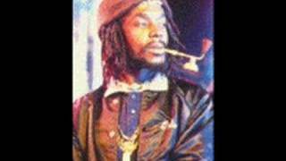 Peter Tosh  Wanted Dread and Alive [upl. by Naoj791]