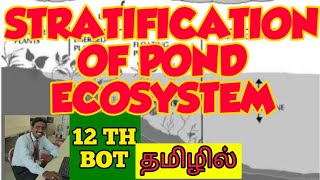 STRATIFICATION OF POND ECOSYSTEM  TAMIL  LIMNETIC  LITTORAL  PROFUNDAL  ECOSYSTEM [upl. by Auhs487]