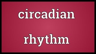 Circadian rhythm Meaning [upl. by Mcevoy143]