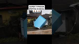 SUPER TYPHOON PEPITO IN BICOL typhoon bicol news viralvideo [upl. by Mixie]