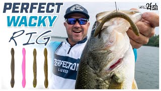 How to Wacky Rig Summer Bass With David Dudley [upl. by Alpheus]