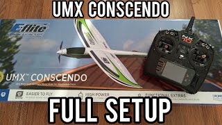 Eflite UMX Conscendo overview and full transmitter setup [upl. by Ilatan107]