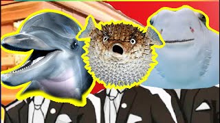 Dolphin Vs Puffer Fish Vs Sting Ray  Coffin Dance Meme Cover [upl. by Neerod47]