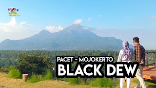 View gak ada lawan  Black Dew Pacet Mojokerto [upl. by Ainit589]