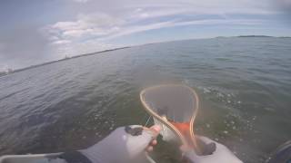 Striper Fly Fishing at Carson Beach [upl. by Hctim]