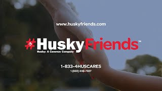 Husky Friends Promotional Video [upl. by Jessie]