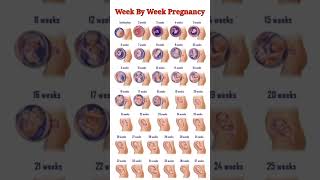 Pregnancy Week By Week ll 1  41 Weeks Fental Development [upl. by Rolo]