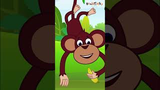 Zoo Song for Children  Fun amp Educational Nursery Rhyme by Bamboosky Nursery Rhymes  animalsong [upl. by Cody]