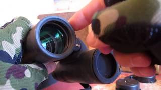 обзор Бинокль Nikon Monarch 10x36 DCF [upl. by Eppilihp152]