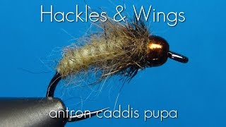 Fly Tying the Holy Grail caddissedge pupa with Barry Ord Clarke [upl. by Messab]